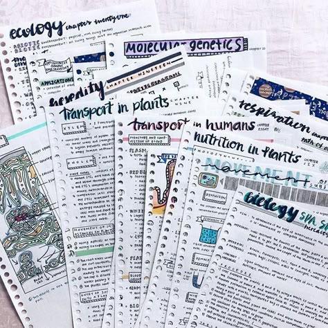 Hand-drawn, colour-coded Biology revision notes covering ecology, genetics and transport